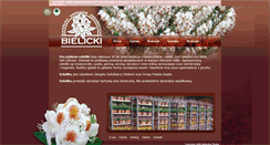 Desktop Screenshot of bielicki.com.pl